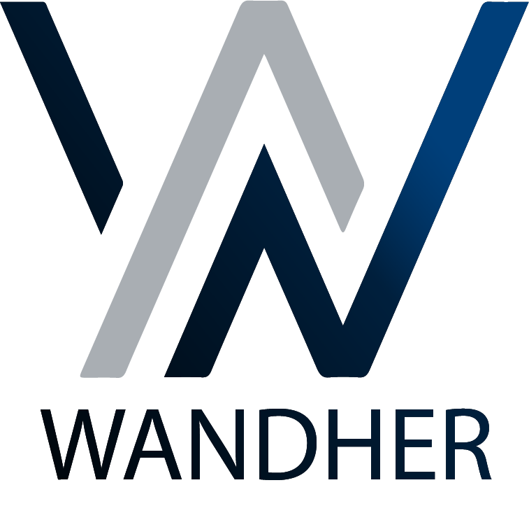 Wandher Souza UX Designer